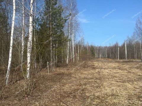derevnya-kileley-bogorodskiy-municipalnyy-okrug фото