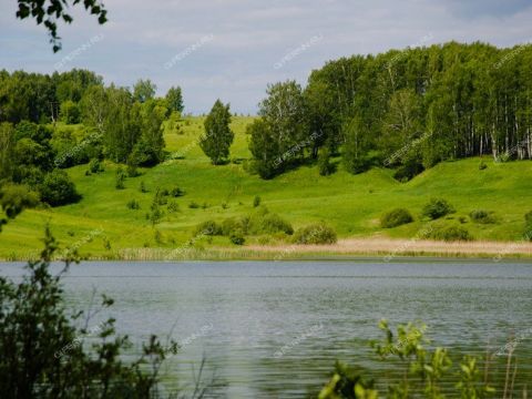 selo-efimevo-bogorodskiy-municipalnyy-okrug фото