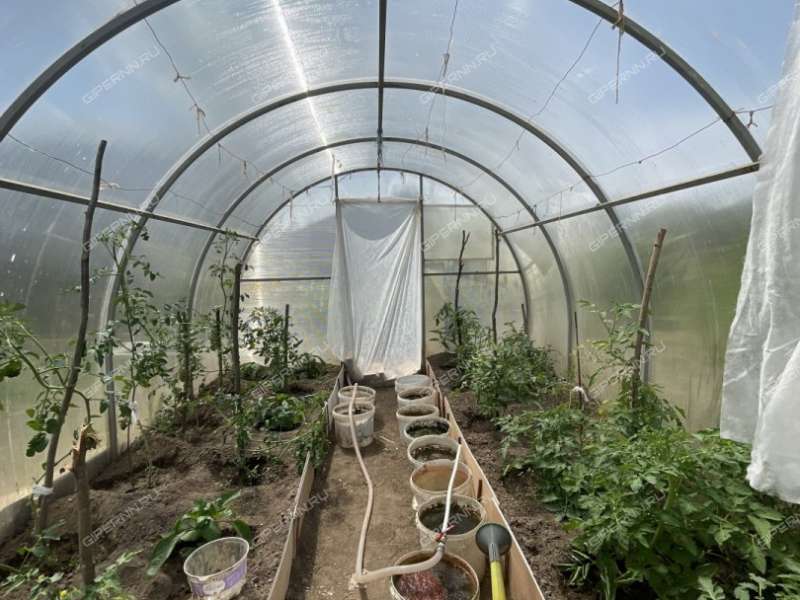 дача на  Дружба-86 снт