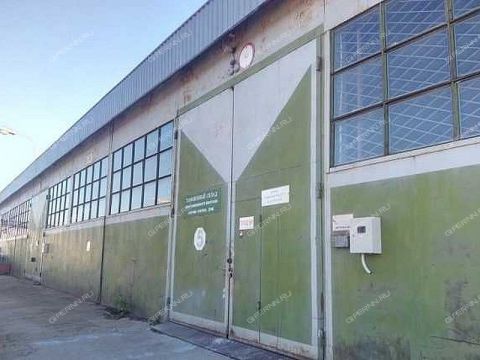 chaadaeva-ul-d-51 фото