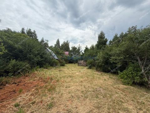 dom-derevnya-vashuriha-gorodeckiy-rayon фото