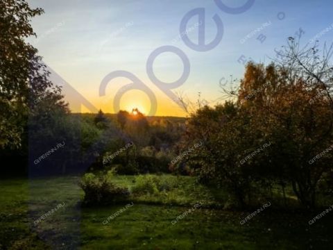 dacha-derevnya-trestyany-bogorodskiy-municipalnyy-okrug фото