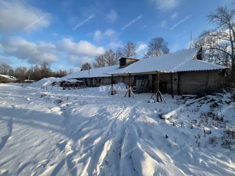 gorod-semenov-semenovskiy-gorodskoy-okrug фото