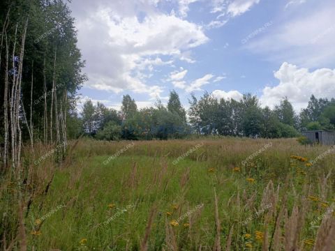derevnya-zaozere-bogorodskiy-municipalnyy-okrug фото