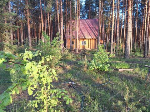 poselok-novaya-shomohta-sokolskiy-gorodskoy-okrug фото