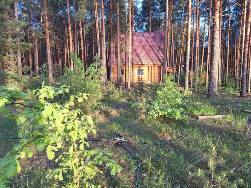 земельный участок под коммерческое использование в городском округе Сокольский Нижегородской области