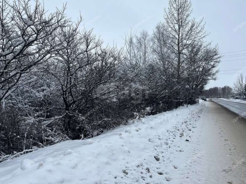 земельный участок 11,6 сотки Центральная деревня Шубино