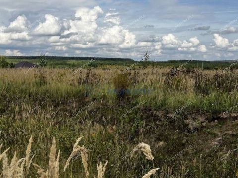 derevnya-berezovka-bogorodskiy-municipalnyy-okrug фото