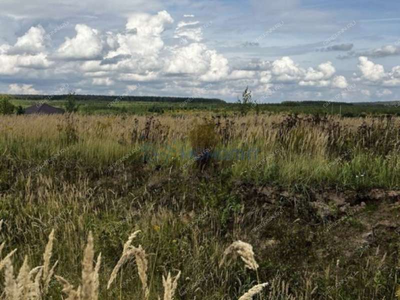 земельный участок 12 соток Северная улица деревня Берёзовка