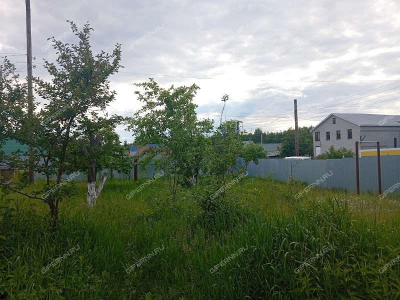 дом на Конноармейской улице