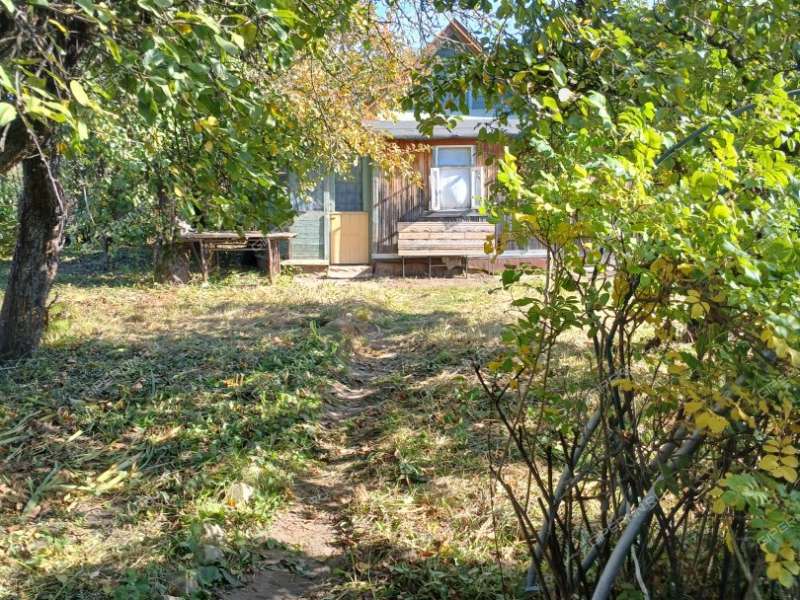 сад на улице Строкина