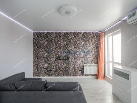 1-komnatnaya-derevnya-afonino-kstovskiy-rayon фото