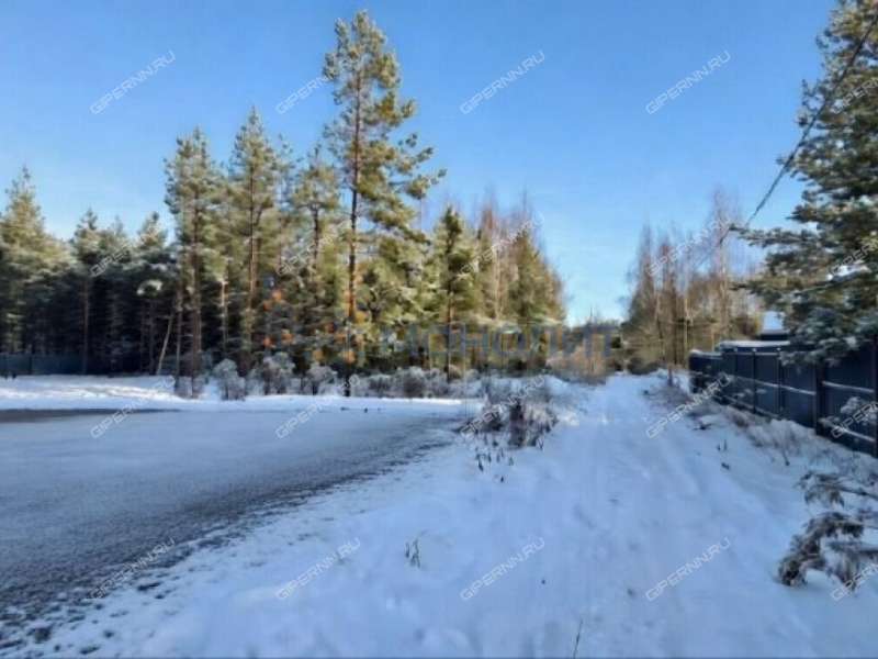 земельный участок под сельхоз назначение в Городецком районе Нижегородской области