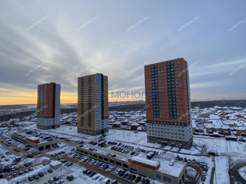 1-komnatnaya-derevnya-ankudinovka-kstovskiy-rayon фото