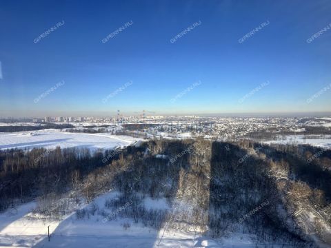 2-komnatnaya-derevnya-ankudinovka-kstovskiy-rayon фото