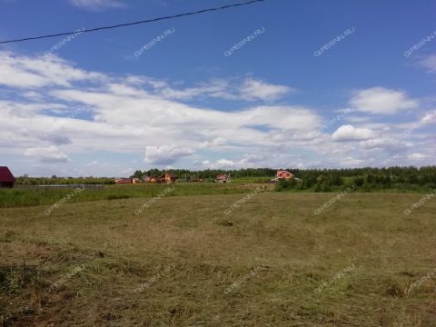 derevnya-zaozere-bogorodskiy-municipalnyy-okrug фото