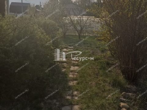 dom-gorod-vyksa-gorodskoy-okrug-vyksa фото