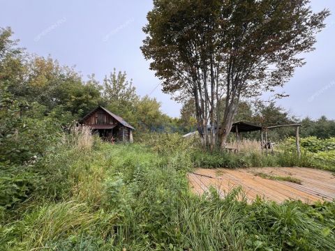dom-derevnya-prudy-pavlovskiy-municipalnyy-okrug фото