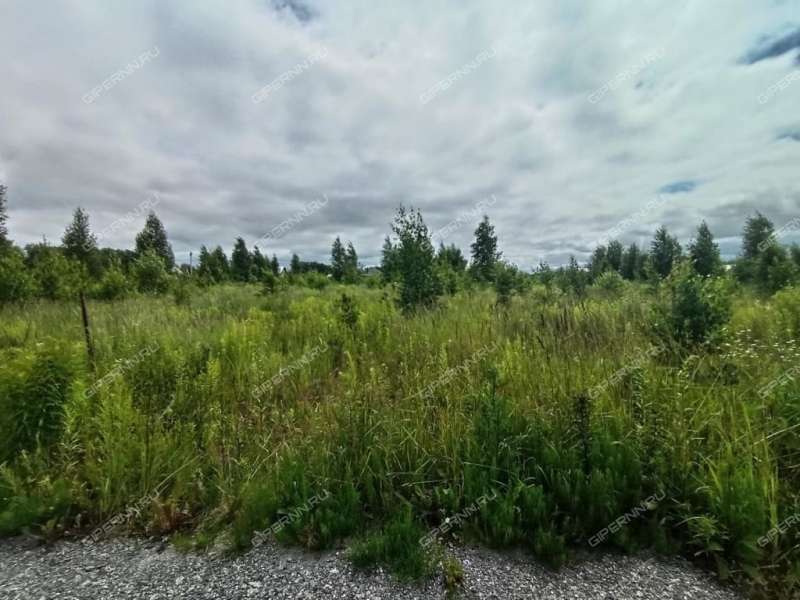 земельный участок 600 соток ТСН Бугров Парк