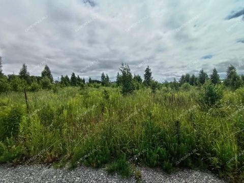 tsn-bugrov-park-dalnekonstantinovskiy-rayon фото