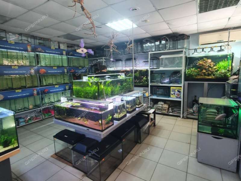 помещение под помещение свободного назначения на Театральной улице город Кстово