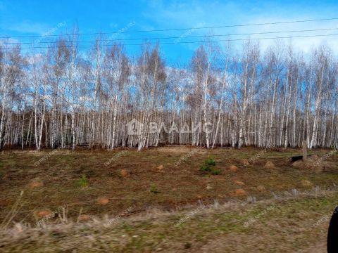 derevnya-inyutino-bogorodskiy-municipalnyy-okrug фото