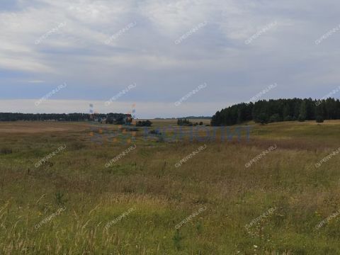 derevnya-ionovka-bogorodskiy-municipalnyy-okrug фото