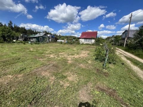 sad-snt-shoniha-7-bogorodskiy-municipalnyy-okrug фото