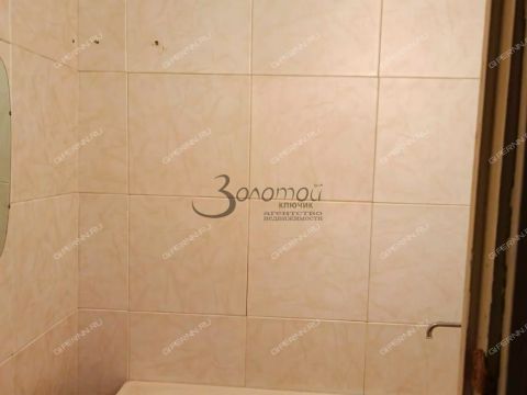 2-komnatnaya-selo-laksha-bogorodskiy-municipalnyy-okrug фото