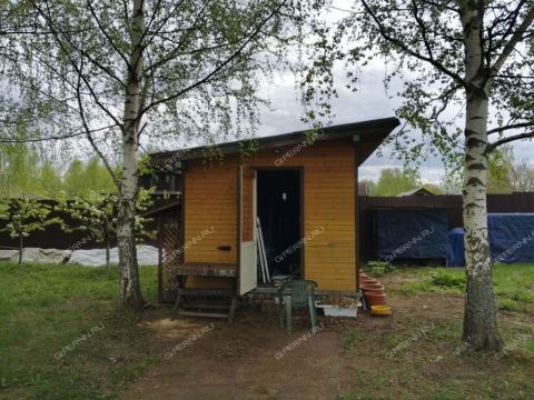 derevnya-lindo-pustyn-gorodskoy-okrug-bor фото