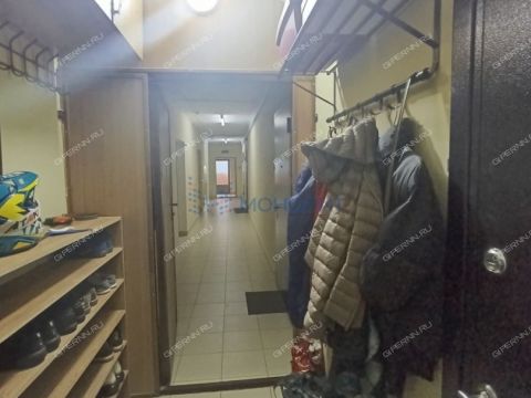 1-komnatnaya-derevnya-afonino-kstovskiy-rayon фото