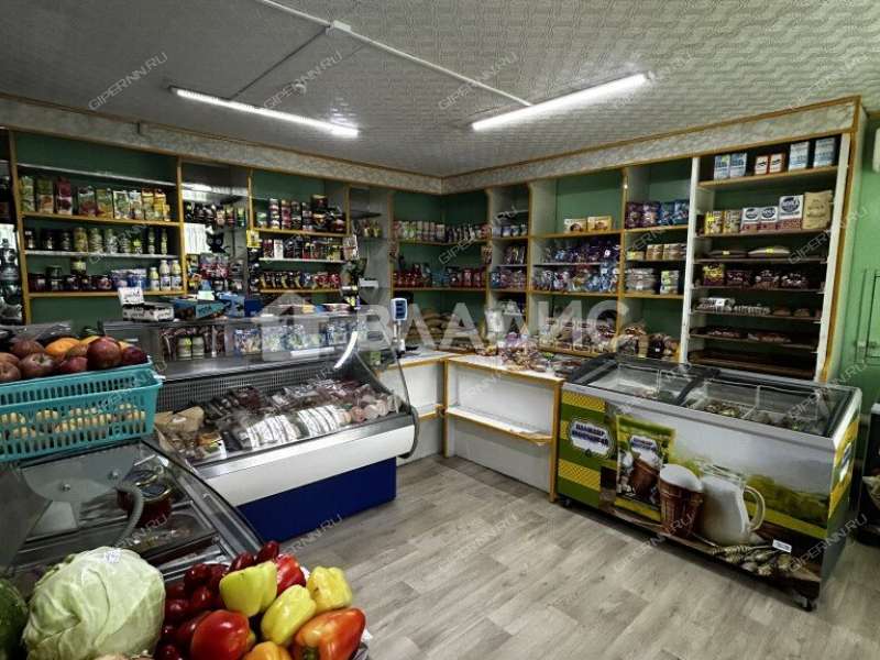 здание под офис, торговую площадь на Рыбной улице рабочий посёлок Ковернино