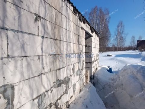 dom-derevnya-burnakovo-gorodskoy-okrug-bor фото