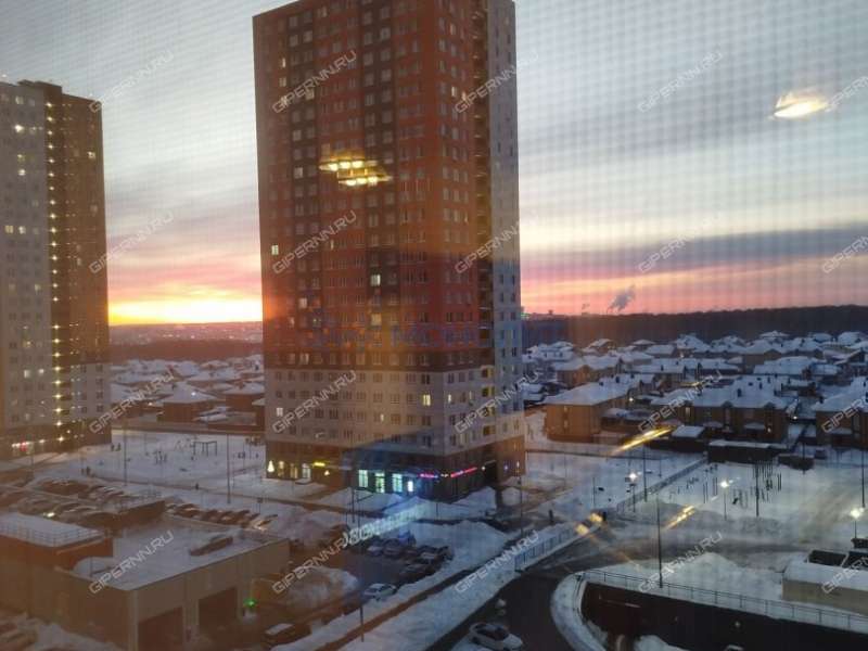 двухкомнатная квартира на Русской улице улице дом 9 деревня Анкудиновка