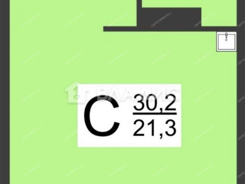 квартира-студия на Русской улице улице дом 19 деревня Анкудиновка