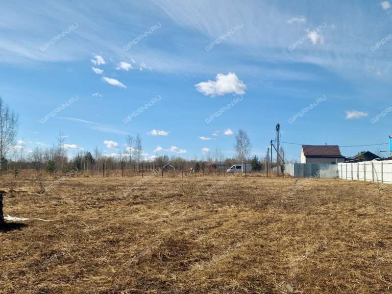 земельный участок 20,9 сотки деревня Кривая Шелокша
