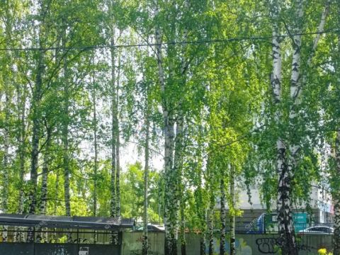 1-komnatnaya-ul-40-let-pobedy-d-18 фото