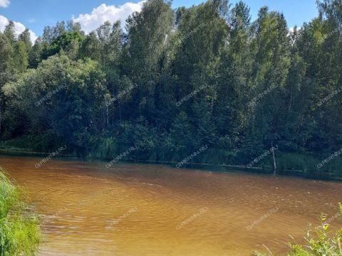 dom-derevnya-hahaly-semenovskiy-gorodskoy-okrug фото