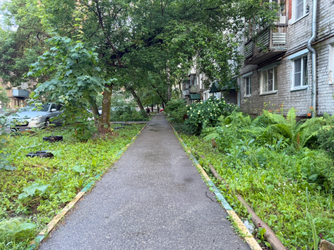 2-komnatnaya-poselok-berezovskiy-ul-znamenskaya-d-5 фото