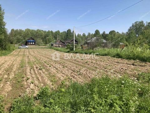 derevnya-zorenki-gorodskoy-okrug-bor фото