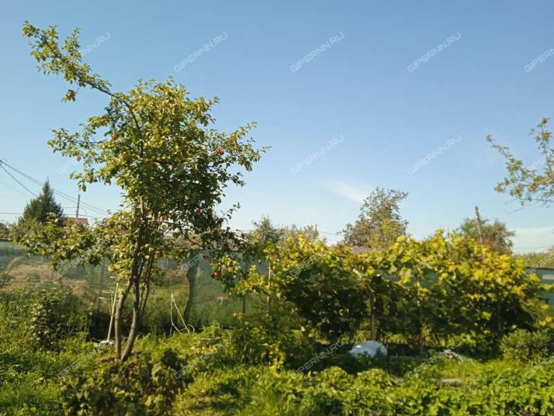 дача на СНТ Надежда