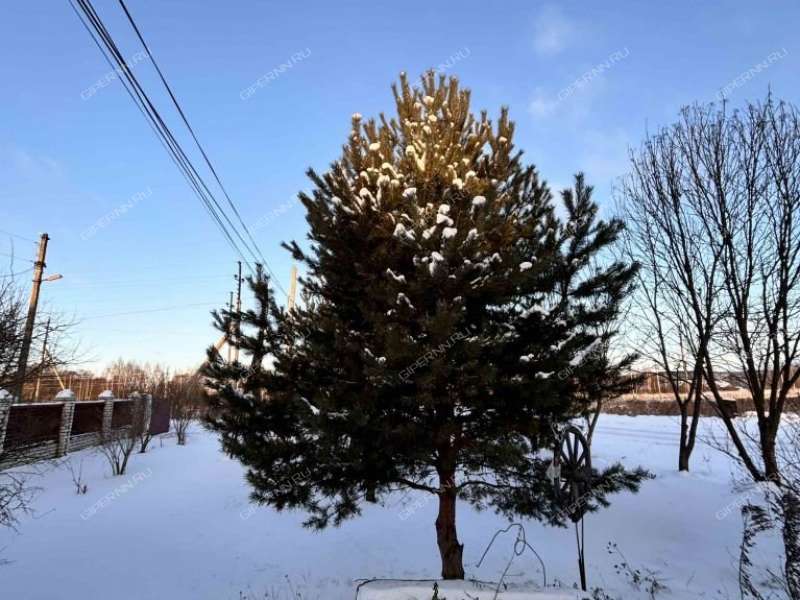 дом на улице Союзная деревня Бебяево