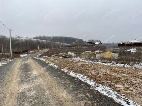 derevnya-shumilovo-bogorodskiy-municipalnyy-okrug фото