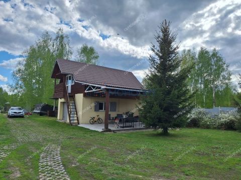 dom-derevnya-vatoma-gorodskoy-okrug-bor фото
