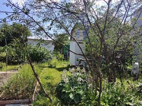 dacha-tsn-stroygaz фото