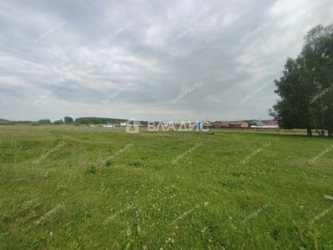 derevnya-inyutino-bogorodskiy-municipalnyy-okrug фото