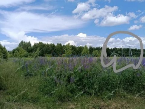 derevnya-berezovka-gorodskoy-okrug-bor фото