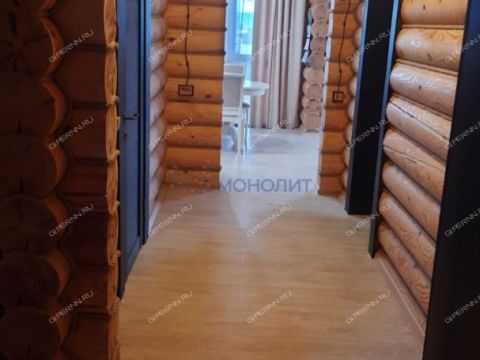 kottedzh-derevnya-berezovka-bogorodskiy-municipalnyy-okrug фото