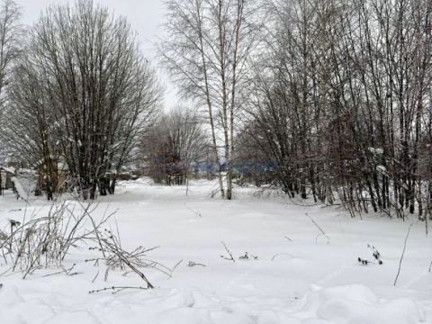 selo-diveevo-diveevskiy-municipalnyy-okrug фото