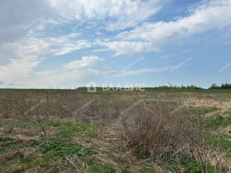 дом на улице Новая Линия деревня Тимонино